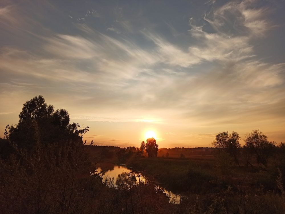 Photograph by Елена