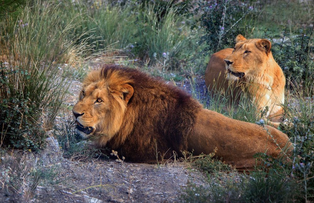 Photograph by Alexey Pokrovskiy