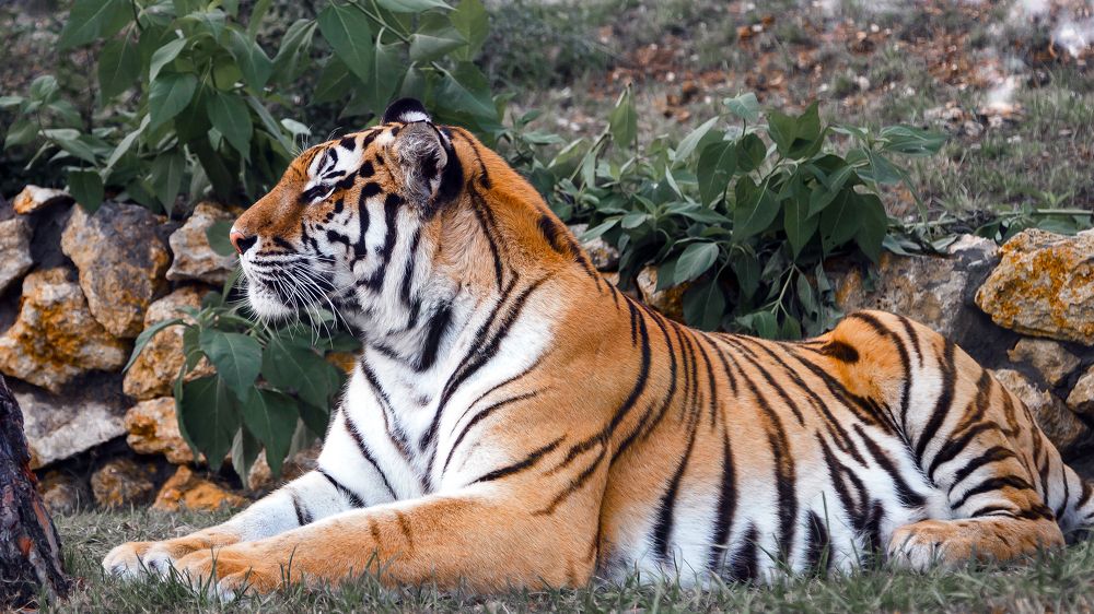 Photograph by Alexey Pokrovskiy