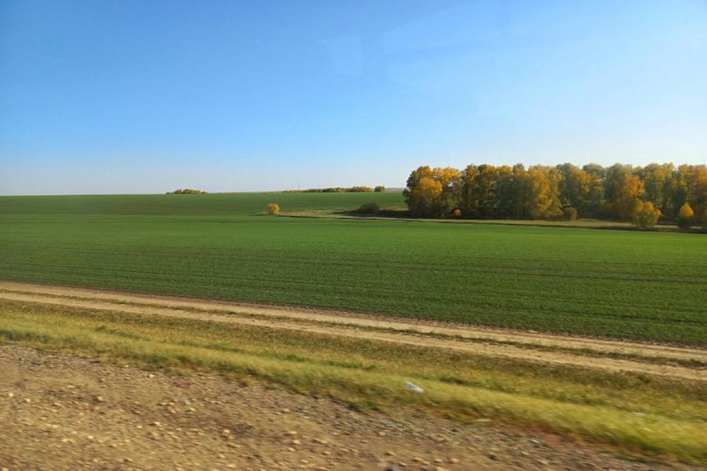 Photograph by Дарья Александровна Емельянова