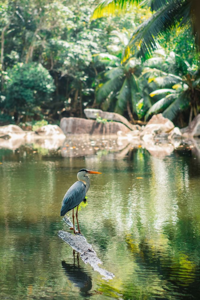 Photograph by Наталья Скарюкина