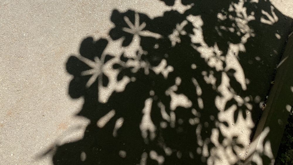 Photograph by Сергей Смирнов