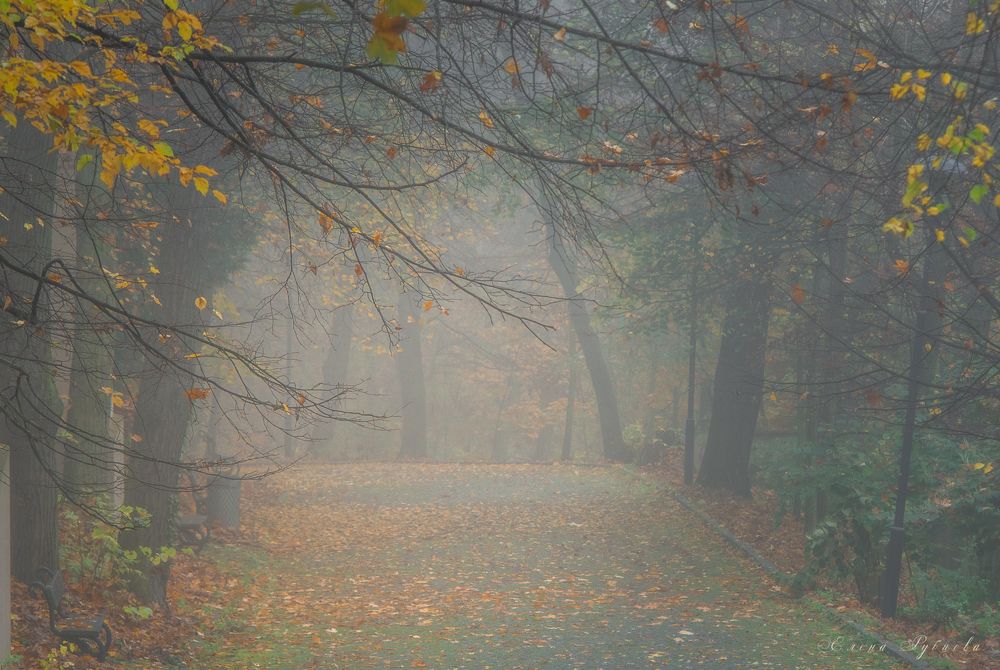 Photograph by Елена Рубцова
