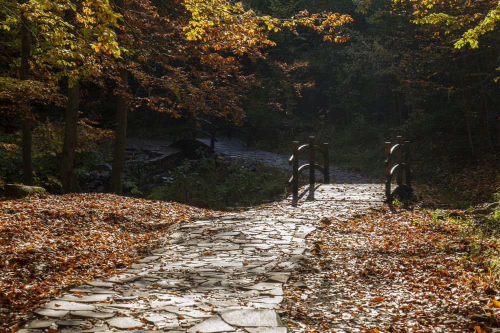 Фотография автора Ирина Зайцева