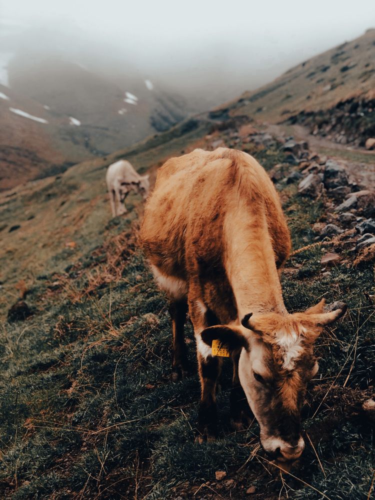 Photograph by Данил Мелинг