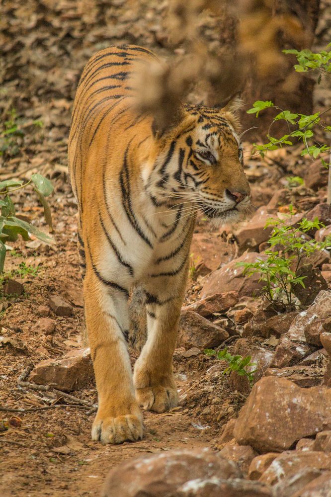 Photograph by Anshuman Tiwari