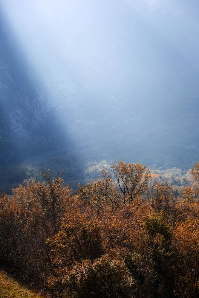 Photograph by Елена Хорошильцева