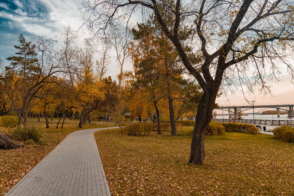 Фотография автора 