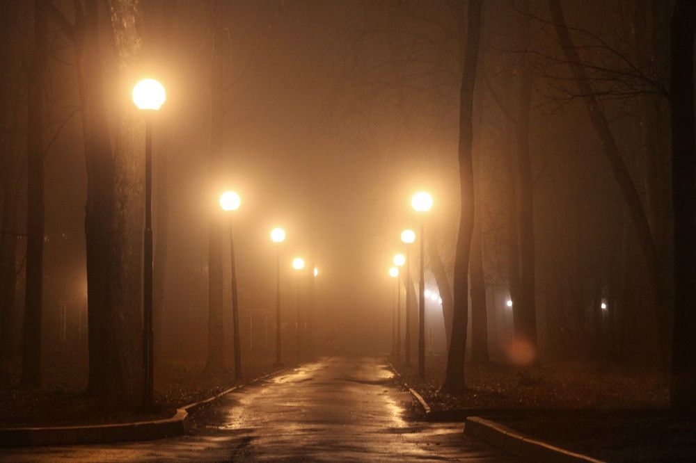 Photograph by Инна Карасева