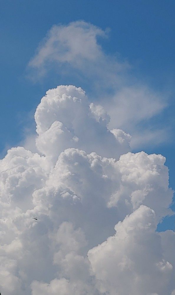 Photograph by Elena Chandran