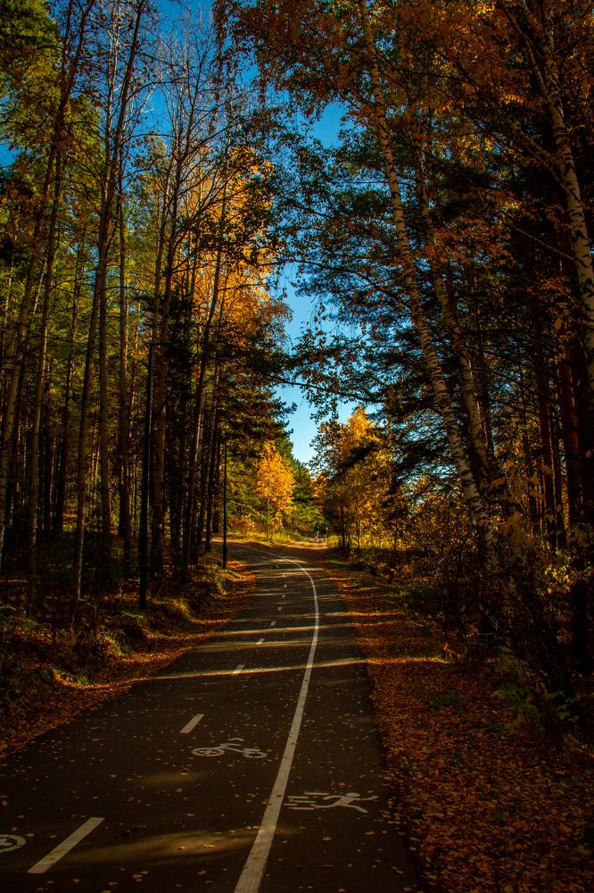 Photograph by Anton Shumanskiy