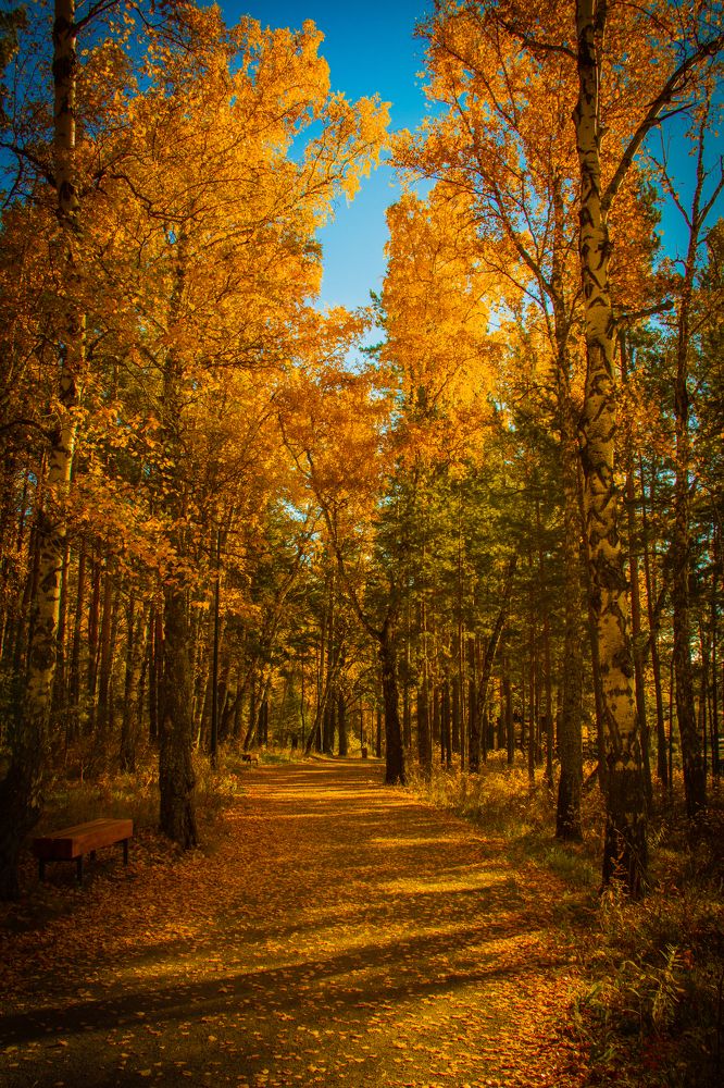 Photograph by Anton Shumanskiy