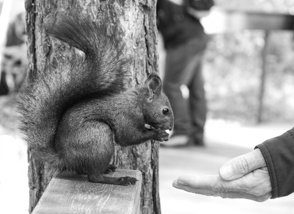 Photograph by Anton Shumanskiy