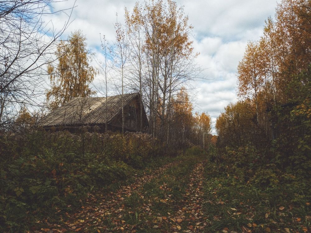 Photograph by Денис Пономарёв