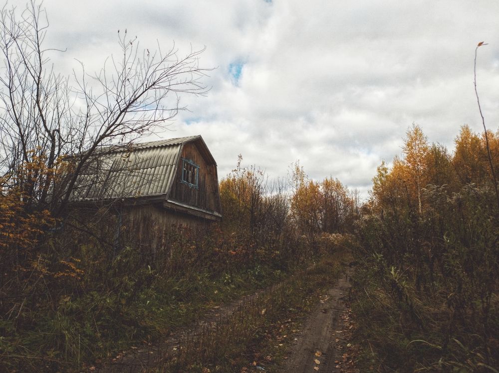 Photograph by Денис Пономарёв