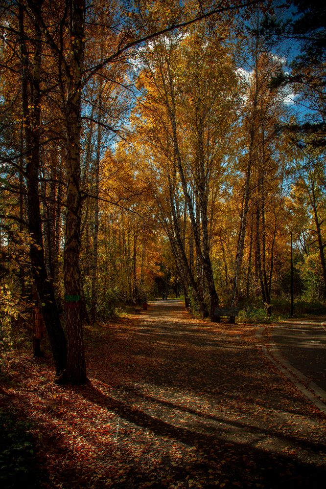 Photograph by Anton Shumanskiy