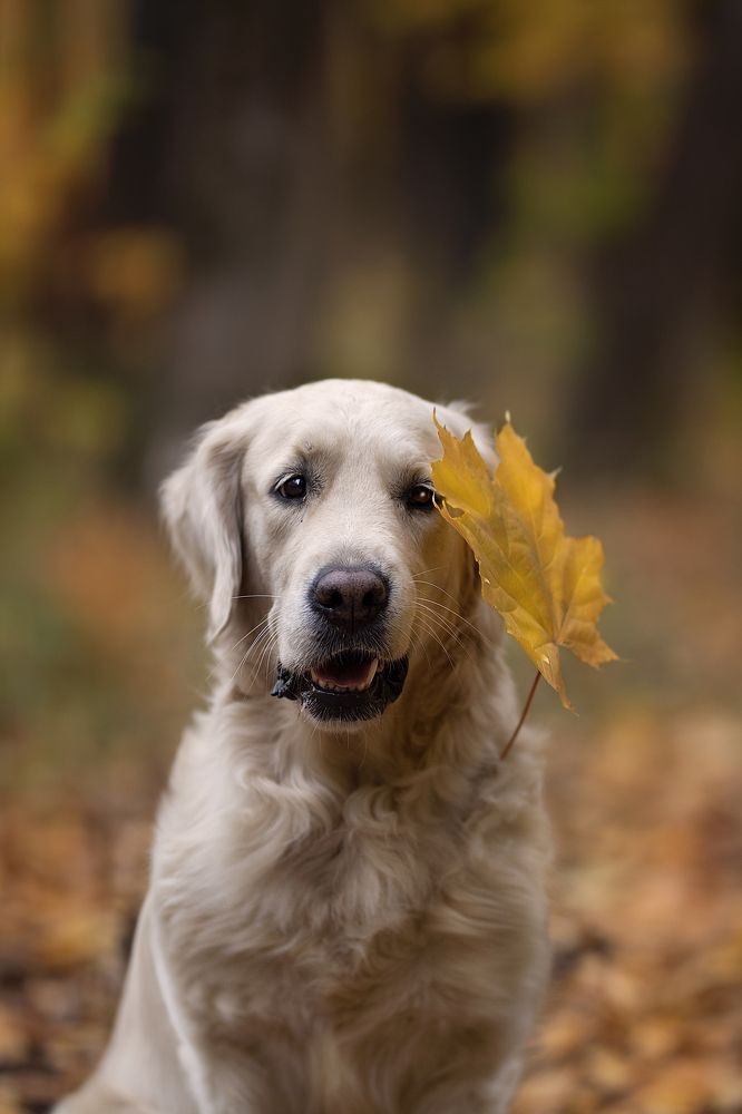 Photograph by Наталия Глазкова