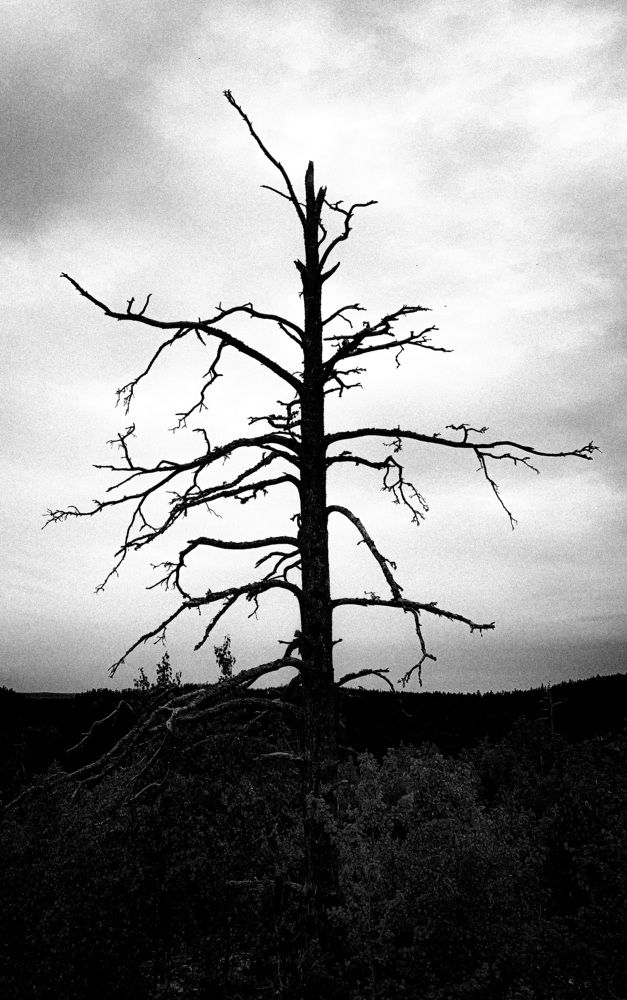 Photograph by Максим Комиссаров