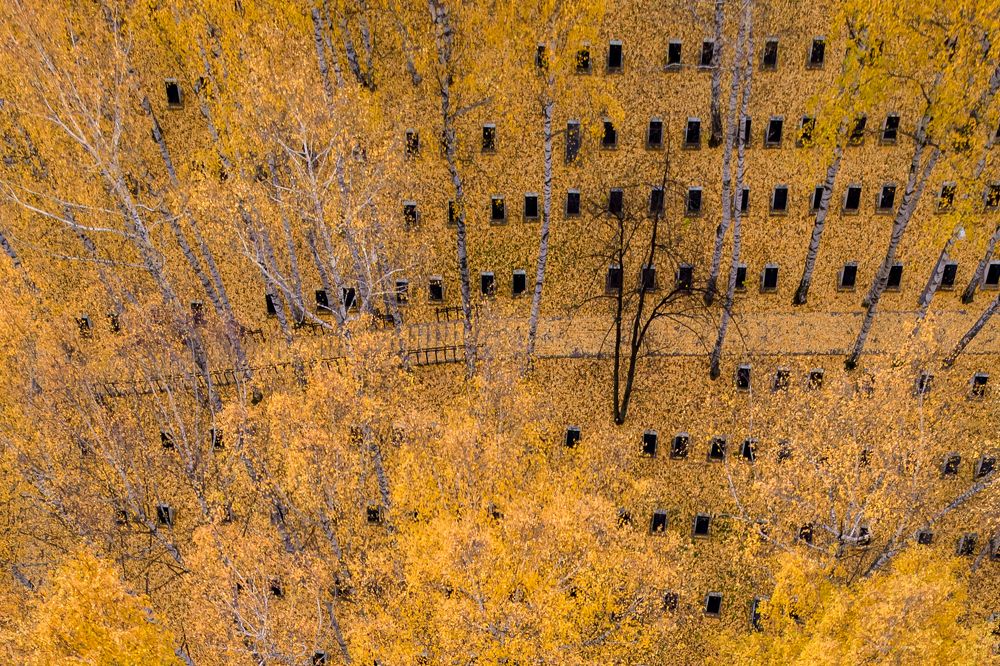 Photograph by Юрий