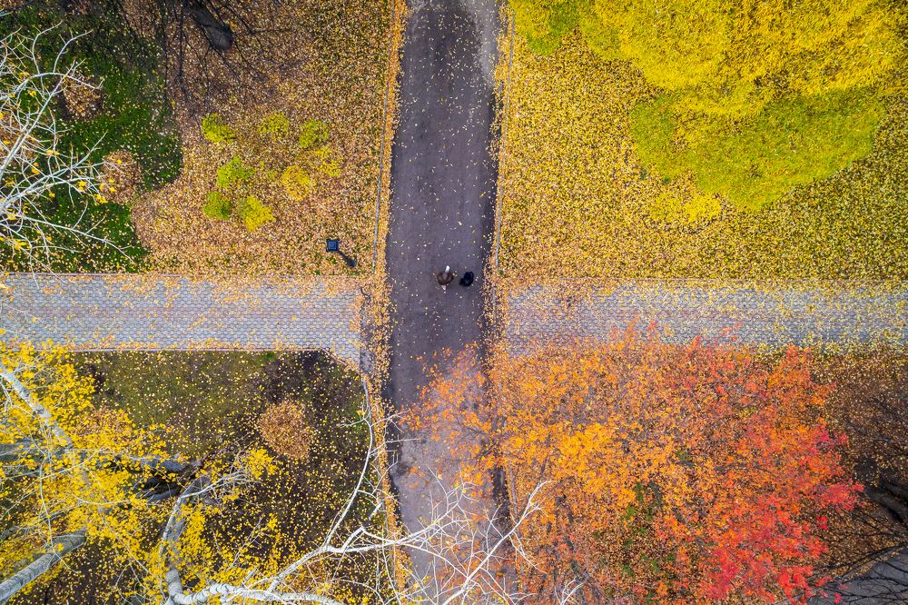 Photograph by Юрий