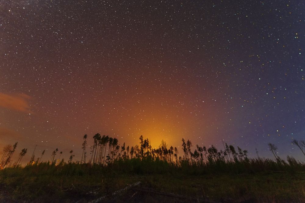 Photograph by Игорь Капустин