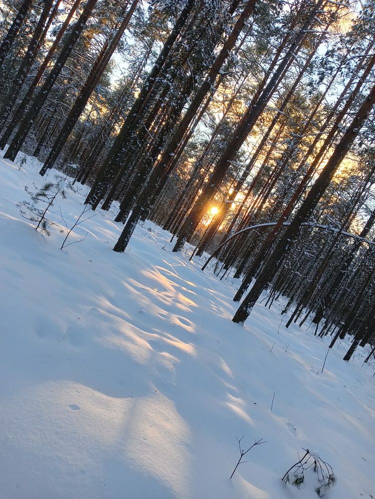 Photo #8343819