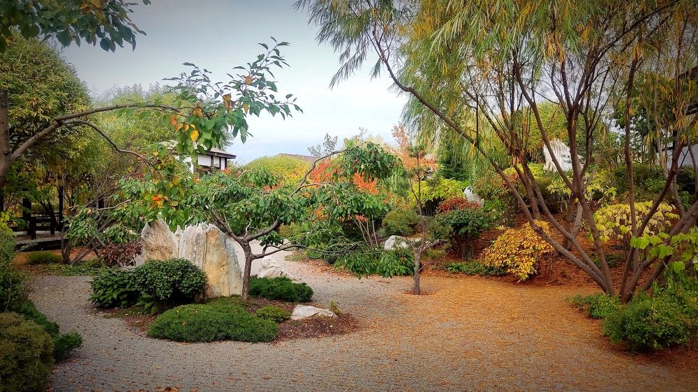 Photograph by Ольга Валерьевна Метлицкая