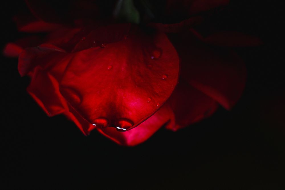 Photograph by Alexandra Sergeeva