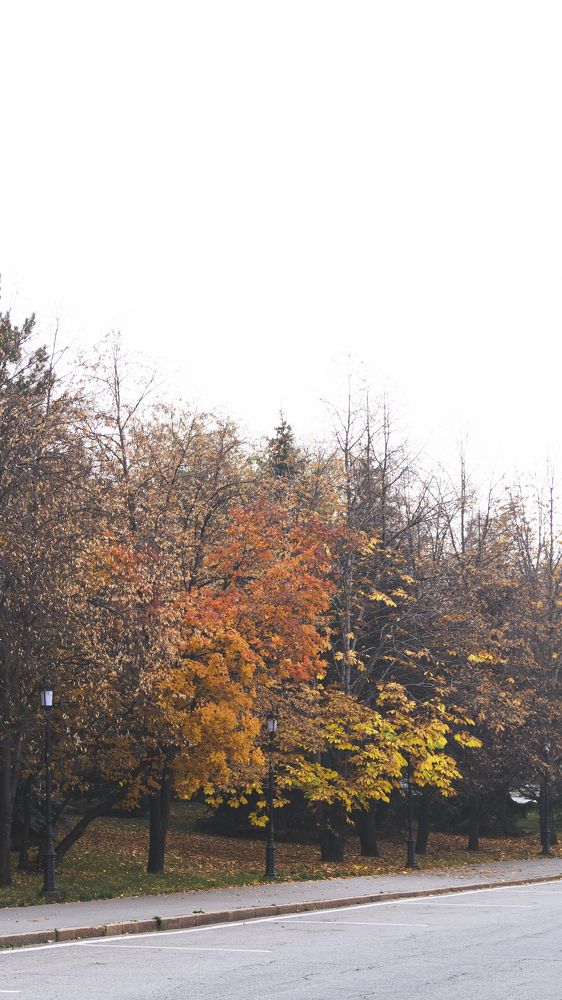 Photograph by Gustov Shults