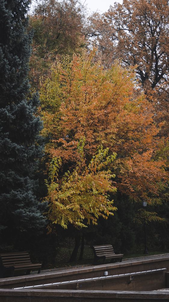 Photograph by Gustov Shults