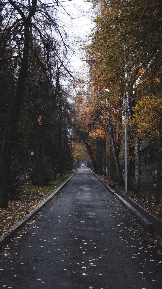 Photograph by Gustov Shults