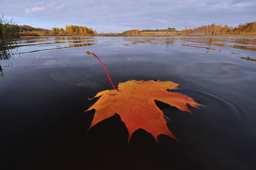 Photograph by Юрий Яковлев