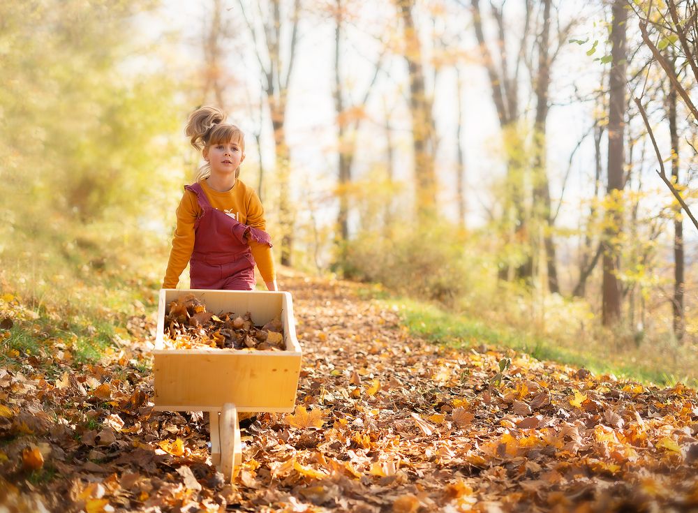 Photograph by Natalie K.