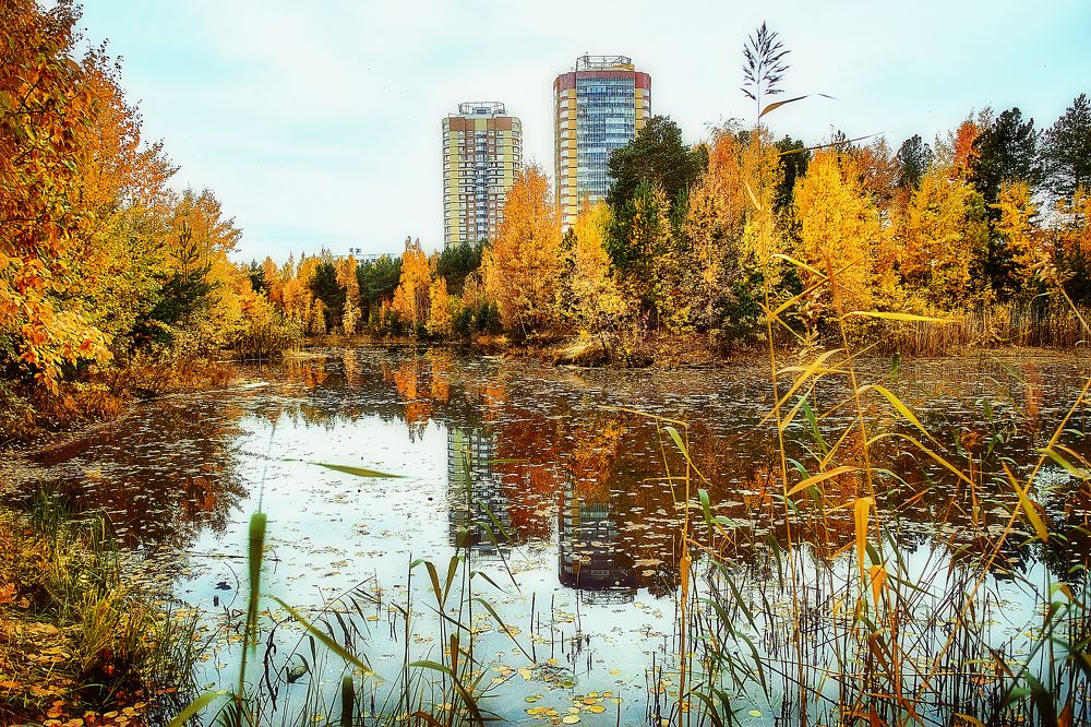 Photograph by Сергей Лисов