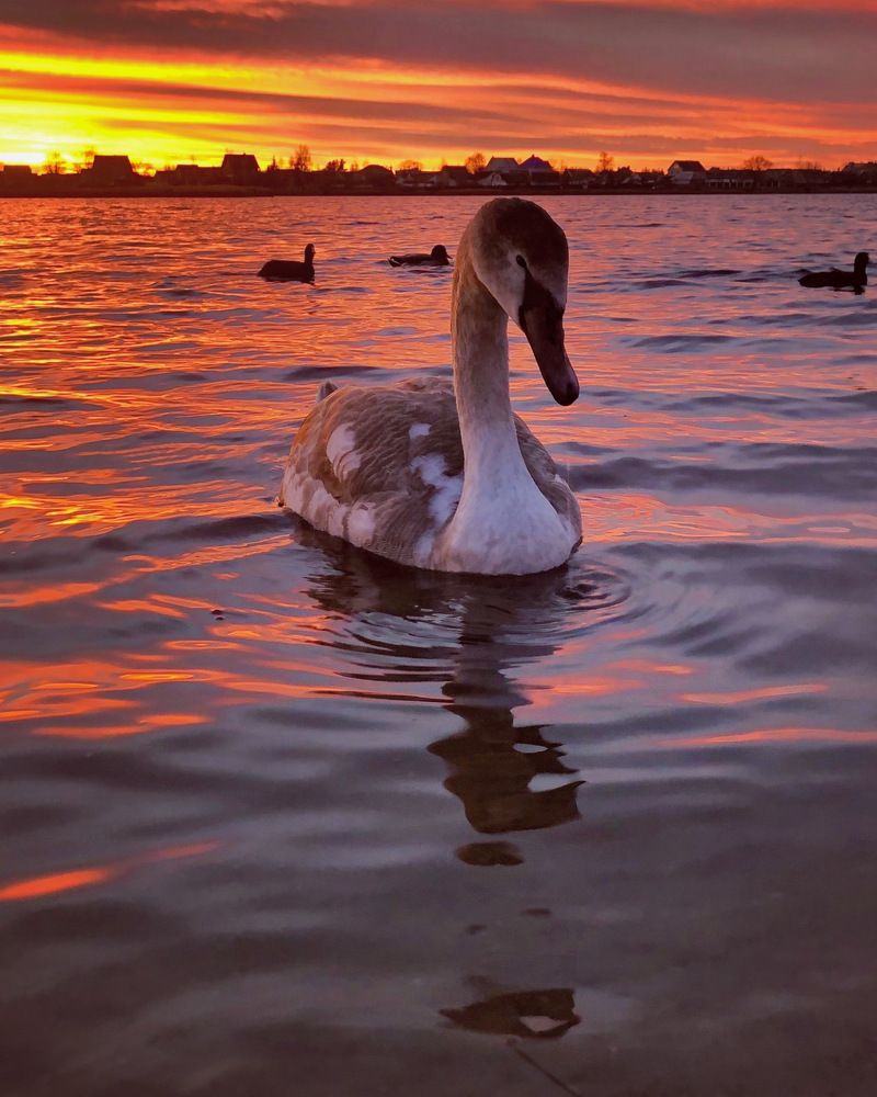 Photograph by Halina Mitsevich