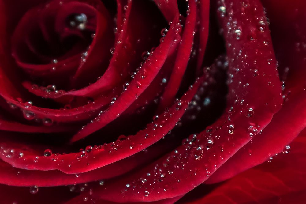 Photograph by Sergejs Barkans