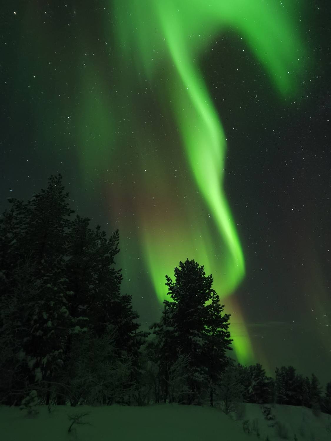 Photo #8344156