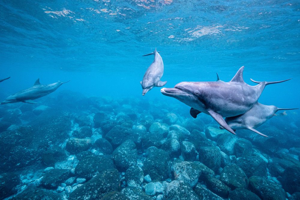 Photograph by Junya Higashi