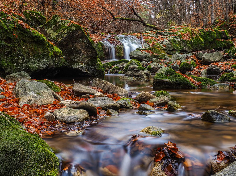 Photograph by Слави Котаров