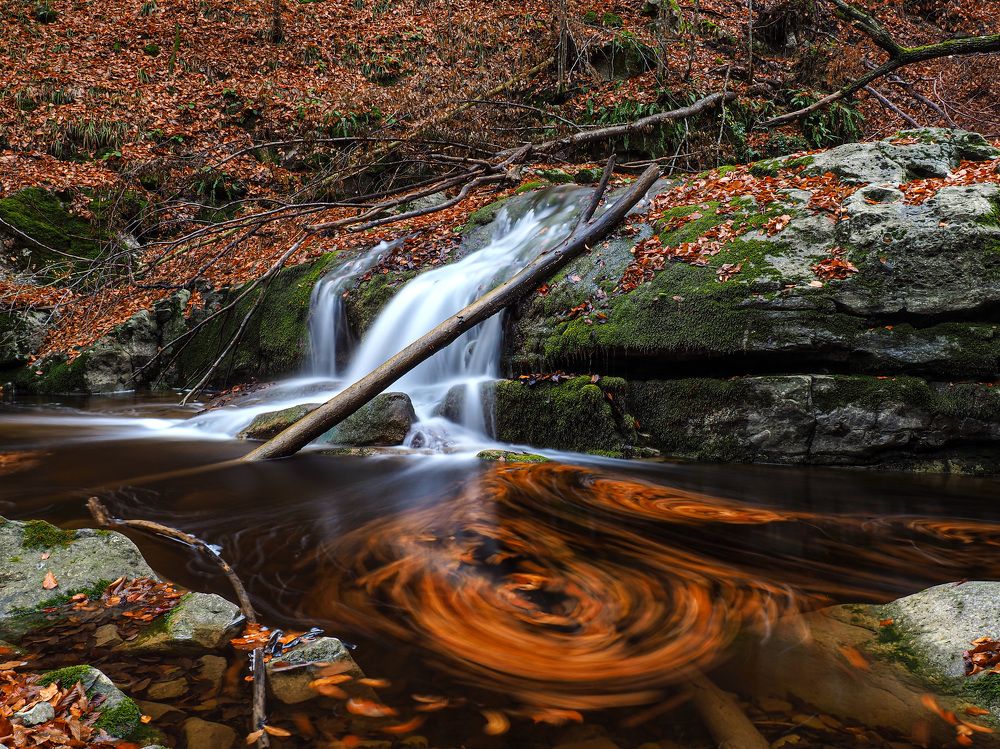 Photograph by Слави Котаров