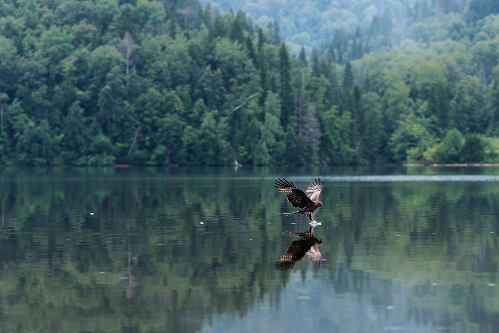 Photograph by Солоницына Светлана