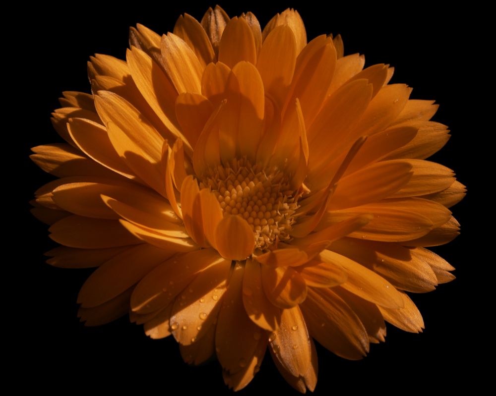 Photograph by Ирина Серегина