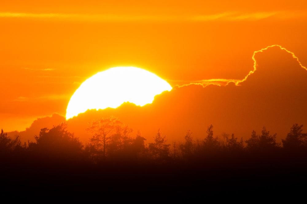 Photograph by Василий Шумкин