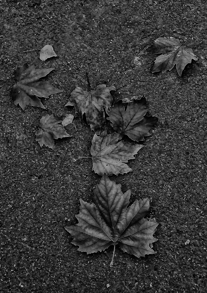 Photograph by Елена Кузнецова