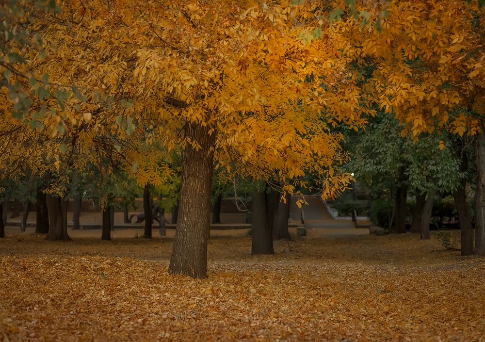 Photograph by Елена Власова