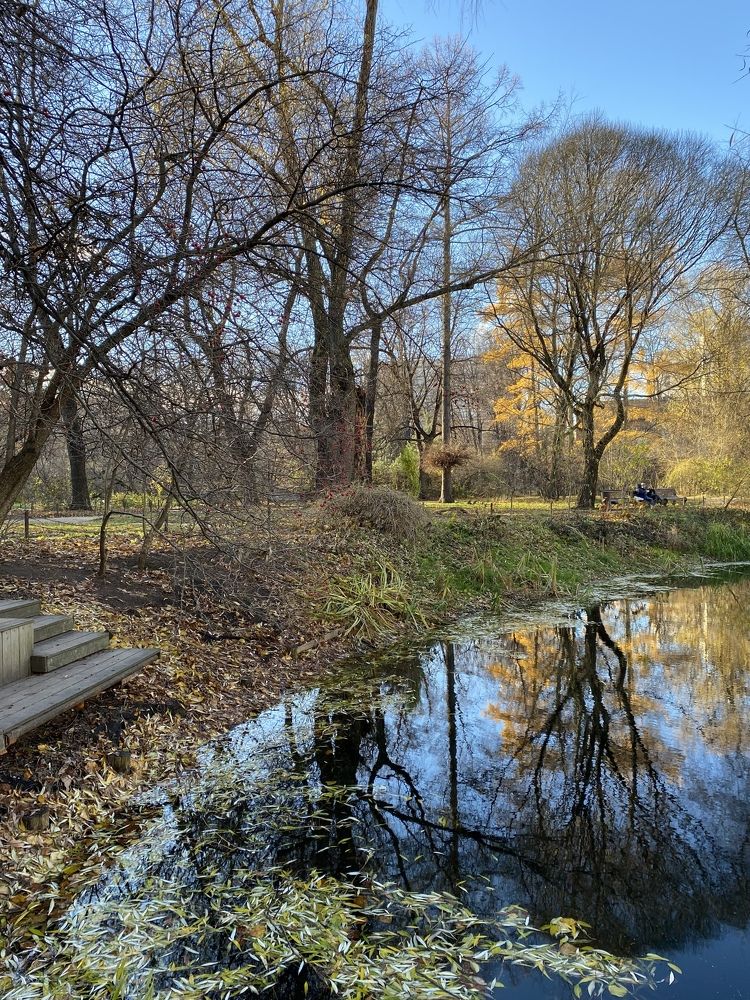 Photograph by NATALJA ROGALOVA