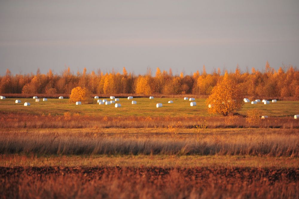Photograph by Юрий Яковлев