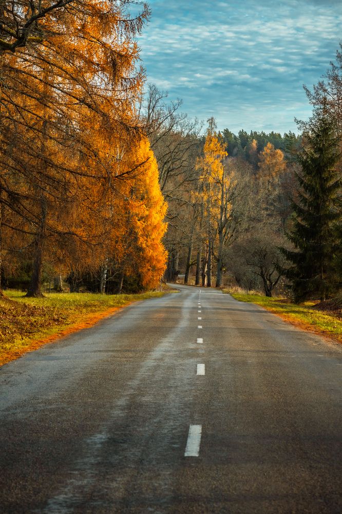 Photograph by Valdis Serzhans