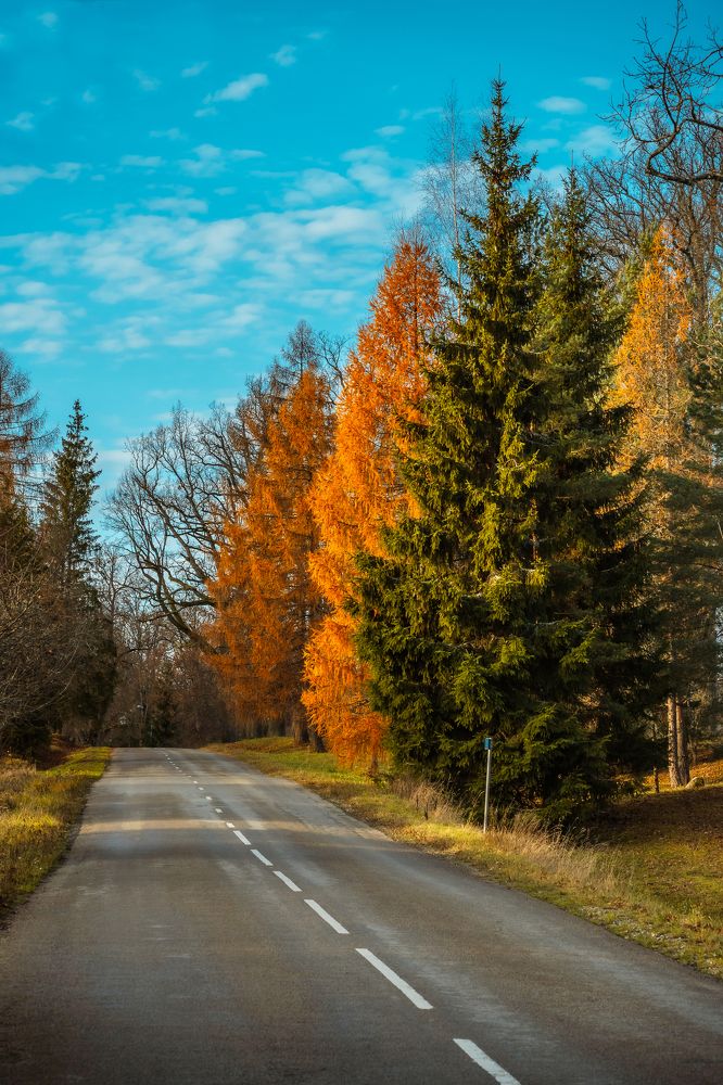 Photograph by Valdis Serzhans