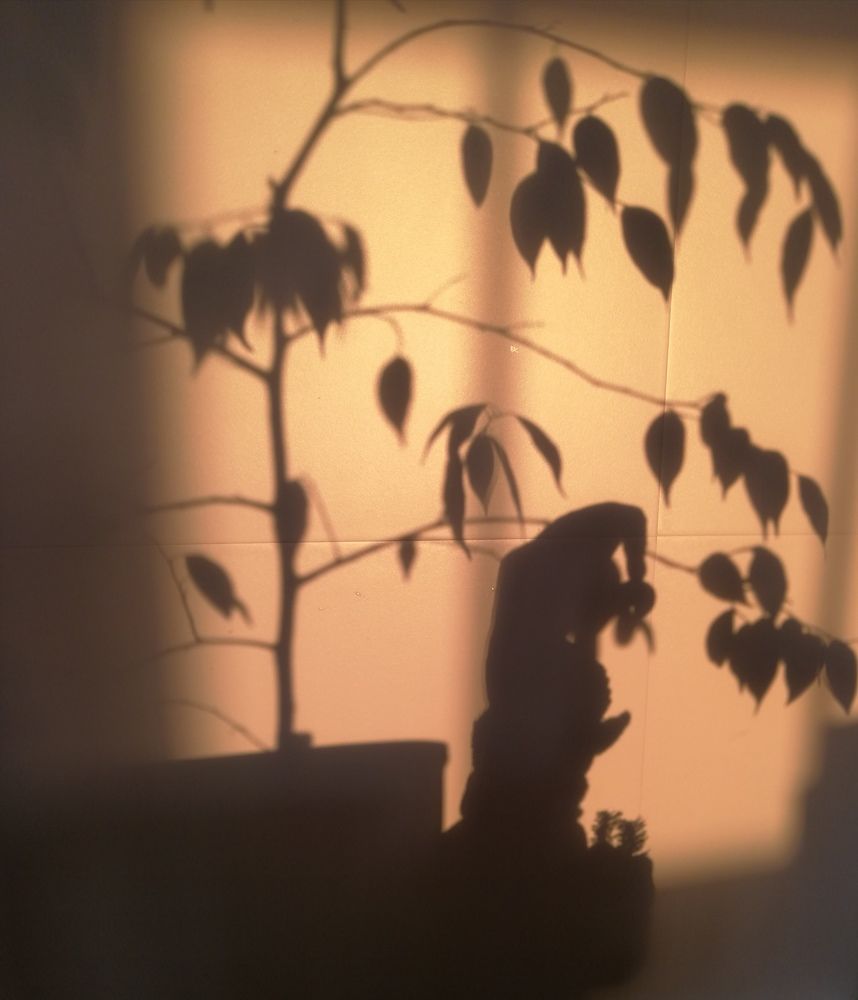 Photograph by Наталья Шалкевич